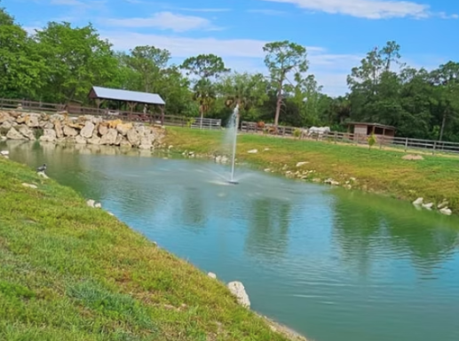 Ranch A&M gallery photo 1