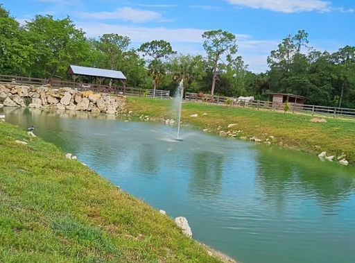 Ranch A&M gallery photo 6