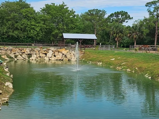 Ranch A&M gallery photo 7
